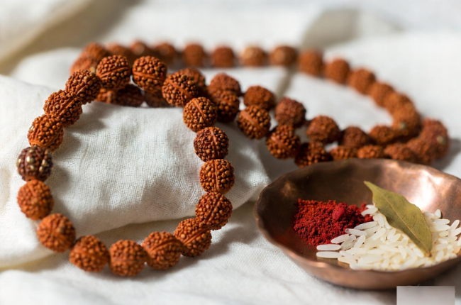 Rudraksha Selection Guide Which Mukhi Bead Is Right and How to Wear It